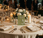 Eucalyptus Glossy Table Numbers