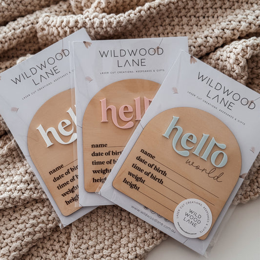 'Hello World' Announcement Plaque